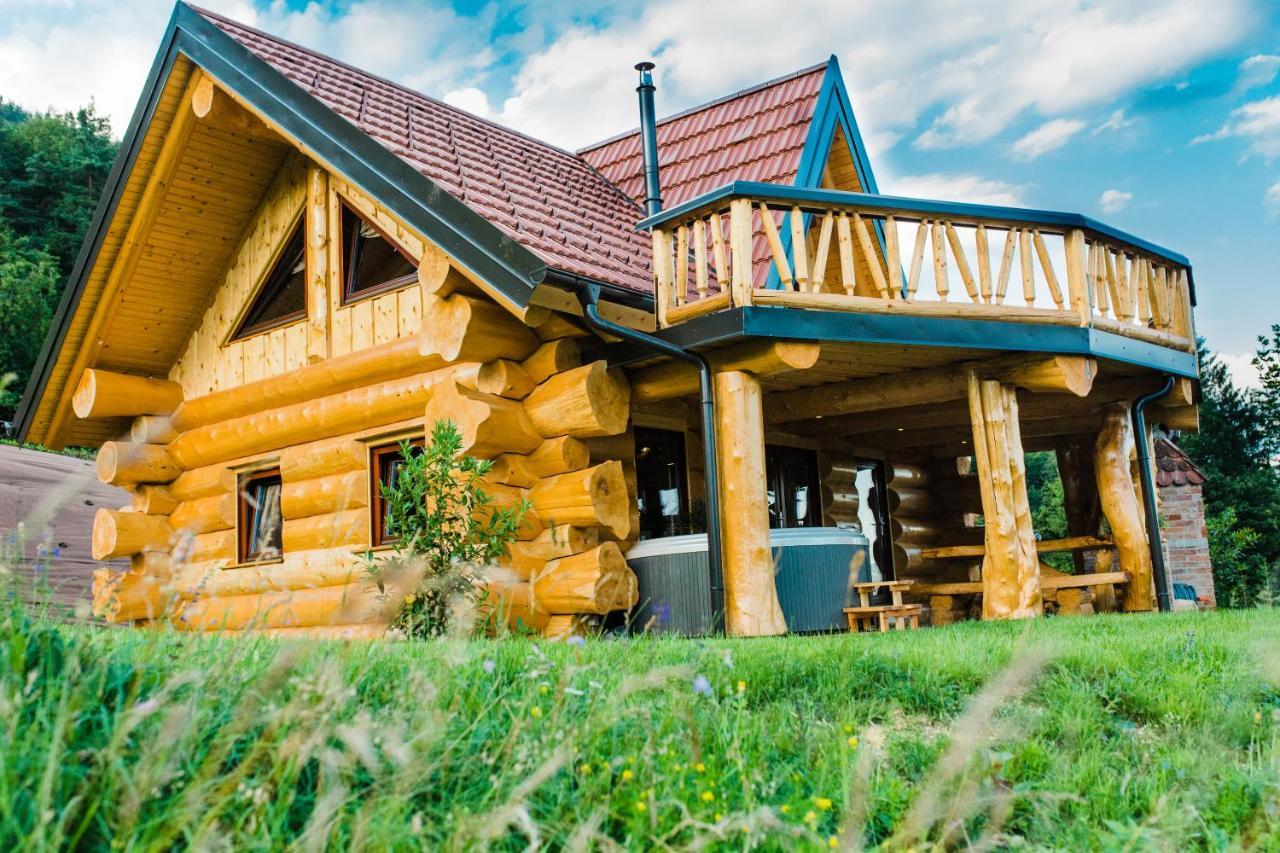 Forest Glade Cottage Recica ob Savinji Extérieur photo