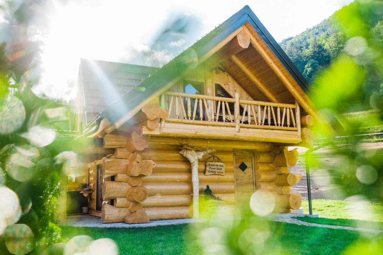Forest Glade Cottage Recica ob Savinji Extérieur photo