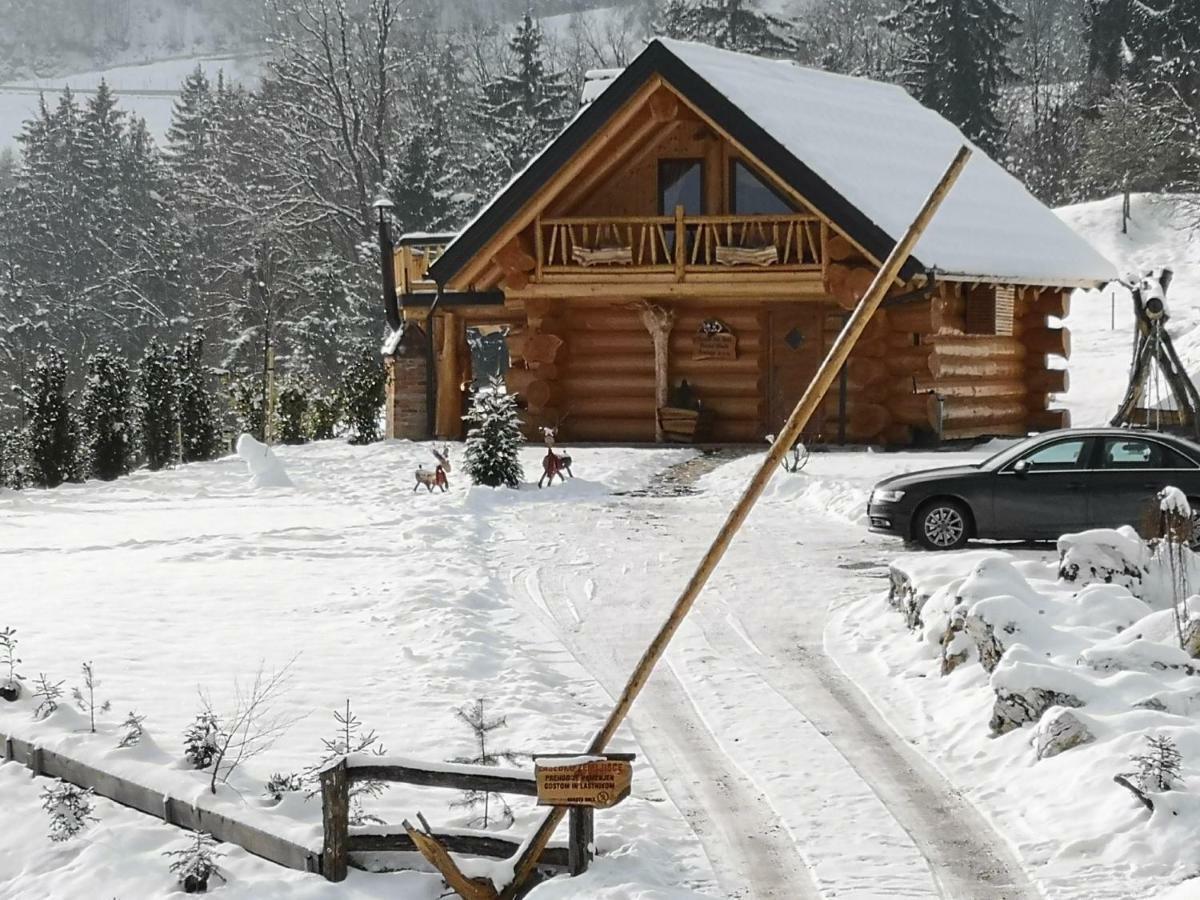 Forest Glade Cottage Recica ob Savinji Extérieur photo