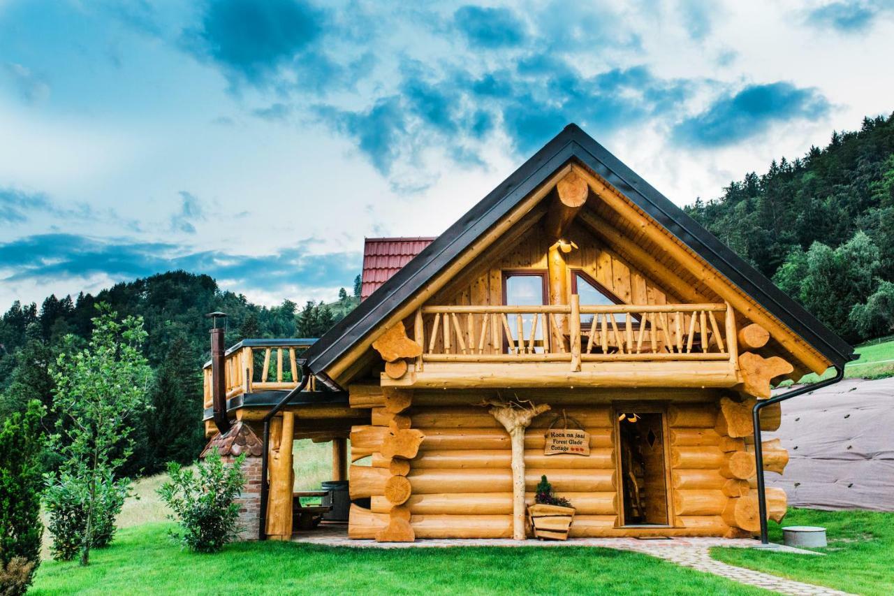 Forest Glade Cottage Recica ob Savinji Extérieur photo